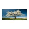 Stunning Decorative Canvas Painting, 50 x 120 cm | 100% Canvas, 100% Wooden Frame (3 cm Thick) | Perfect for Home Decor & Art Lovers