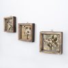 Elegant Decorative Framed MDF Paintings (3 Pieces), 15 x 15 cm | 100% MDF & Pine Wood Frame, UV Printed | Perfect for Home Decor & Art Lovers