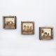 Elegant Decorative Framed MDF Paintings (3 Pieces), 15 x 15 cm | 100% MDF & Pine Wood Frame, UV Printed | Perfect for Home Decor & Art Lovers