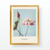 Elegant Decorative Framed Painting, 55 x 75 cm | 100% Wooden Frame with 2 cm Polystyrene | UV Digital Printing | Perfect for Home Decor & Art Lovers