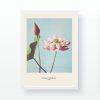 Elegant Decorative Framed Painting, 55 x 75 cm | 100% Wooden Frame with 2 cm Polystyrene | UV Digital Printing | Perfect for Home Decor & Art Lovers