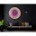 Elegant Decorative Tempered Glass Painting, 80 x 80 cm | 100% Tempered Glass (4 mm) | Stunning UV Printing for Modern Home Décor