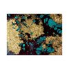 Stunning Decorative Canvas Painting, 70 x 100 cm | 100% Canvas, 100% Wooden Frame (3 cm Thick) | Perfect for Home Decor & Art Lovers