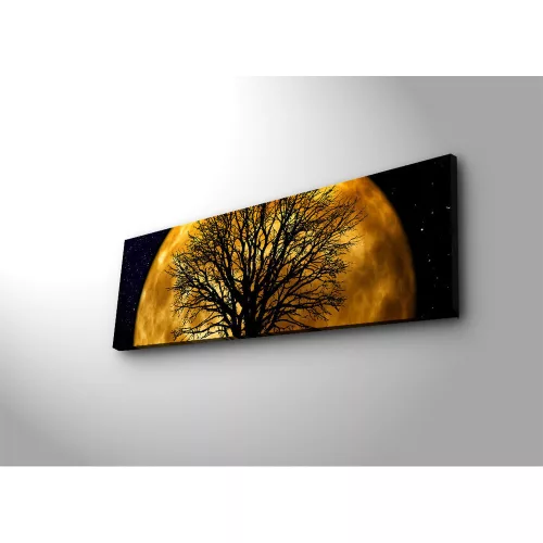 Decorative LED Lighted Canvas Painting, 30 x 90 cm, 100% Suede Canvas, Wooden Frame (3 cm), Battery-Powered with On/Off Switch, Perfect for Home Decor
