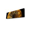 Decorative LED Lighted Canvas Painting, 30 x 90 cm, 100% Suede Canvas, Wooden Frame (3 cm), Battery-Powered with On/Off Switch, Perfect for Home Decor