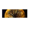 Decorative LED Lighted Canvas Painting, 30 x 90 cm, 100% Suede Canvas, Wooden Frame (3 cm), Battery-Powered with On/Off Switch, Perfect for Home Decor