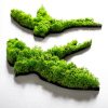 Handmade Decorative Metal Wall Accessory Set (5 Pieces) in Green, 19 x 18 cm to 19 x 11 cm | 100% MDF/MOSS, 6 mm Thick | Unique Wall Art for Home Decor