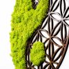 Handmade Decorative Wall Accessory, Green & Brown, 44 x 1 x 44 cm | 100% MDF/MOSS, 9 mm Thick | Unique Design with Natural Variations for Home Decor