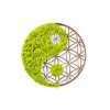 Handmade Decorative Wall Accessory, Green & Brown, 44 x 1 x 44 cm | 100% MDF/MOSS, 9 mm Thick | Unique Design with Natural Variations for Home Decor