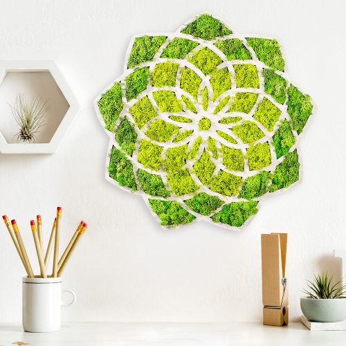Stylish Decorative Wall Accessory, Green & White, 44 x 1.6 x 44 cm | 100% MDF/MOSS, 9 mm Thickness | Perfect for Modern Home Decor & Accent Walls