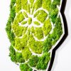 Stylish Decorative Wall Accessory, Green & White, 44 x 1.6 x 44 cm | 100% MDF/MOSS, 9 mm Thickness | Perfect for Modern Home Decor & Accent Walls