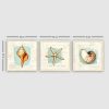 Elegant Decorative Canvas Painting Set (3 Pieces), 100% Canvas, Wooden Frame (3 cm Thick), 30 x 90 cm Total Size | Perfect for Home Decor & Art Lovers