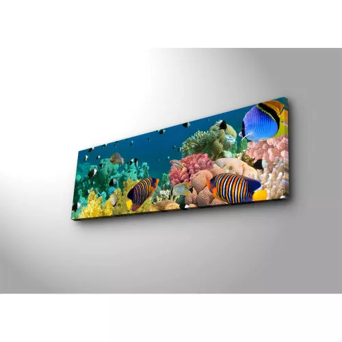 Decorative LED Lighted Canvas Painting, 30 x 90 cm, 100% Suede Canvas, Wooden Frame (3 cm), Battery-Powered with On/Off Switch, Perfect for Home Decor