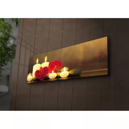 Decorative LED Lighted Canvas Painting, 30 x 90 cm, 100% Suede Canvas, Wooden Frame (3 cm), Battery-Powered with On/Off Switch, Perfect for Home Decor