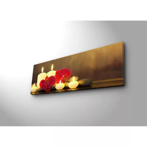 Decorative LED Lighted Canvas Painting, 30 x 90 cm, 100% Suede Canvas, Wooden Frame (3 cm), Battery-Powered with On/Off Switch, Perfect for Home Decor