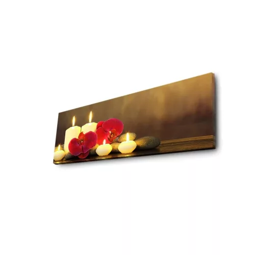 Decorative LED Lighted Canvas Painting, 30 x 90 cm, 100% Suede Canvas, Wooden Frame (3 cm), Battery-Powered with On/Off Switch, Perfect for Home Decor