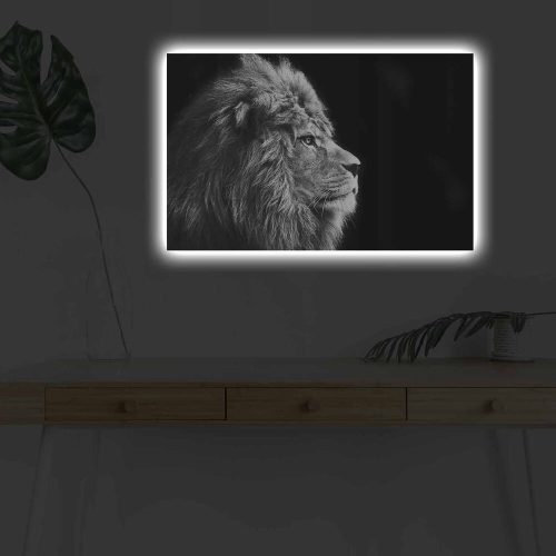 Decorative LED Lighted Canvas Painting, 45 x 70 cm, 100% Suede Canvas, Wooden Frame (3 cm), Battery-Powered with On/Off Switch, Perfect for Home Decor