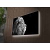 Decorative LED Lighted Canvas Painting, 45 x 70 cm, 100% Suede Canvas, Wooden Frame (3 cm), Battery-Powered with On/Off Switch, Perfect for Home Decor