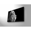 Decorative LED Lighted Canvas Painting, 45 x 70 cm, 100% Suede Canvas, Wooden Frame (3 cm), Battery-Powered with On/Off Switch, Perfect for Home Decor