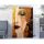 Stunning Decorative Canvas Painting, 70 x 100 cm, 50% Cotton/50% Polyester, Digital Print on Canvas, Framed with 2 x 3 cm Wooden Frame | Perfect for Home Decor