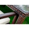 Ombroso outdoor rattan dining set in brown