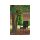 Sottile outdoor rattan chair in brown
