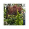 Gardena PrecisionCut hedge trimmer