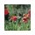 Gardena MD 6-surface nozzle (2 pcs.)