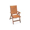 Orlando eucalyptus adjustable reclining chair