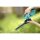 Gardena electric hedge trimmer blade 18 cm