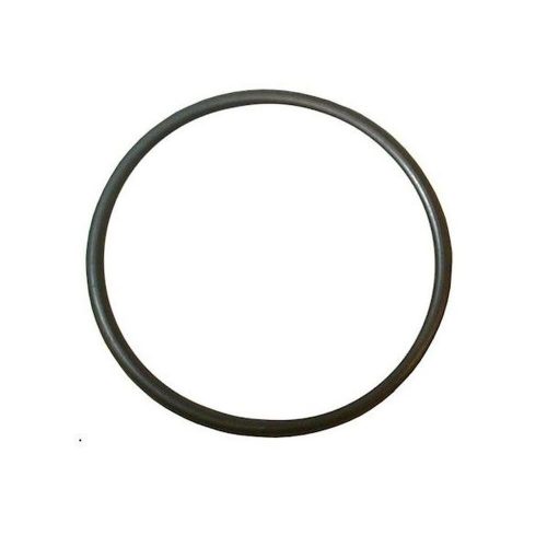 O-ring JPV1300 CT3674 JPV900 OR163 (OR164x2.6)