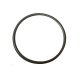 O-ring JPV1300 CT3674 JPV900 OR163 (OR164x2.6)
