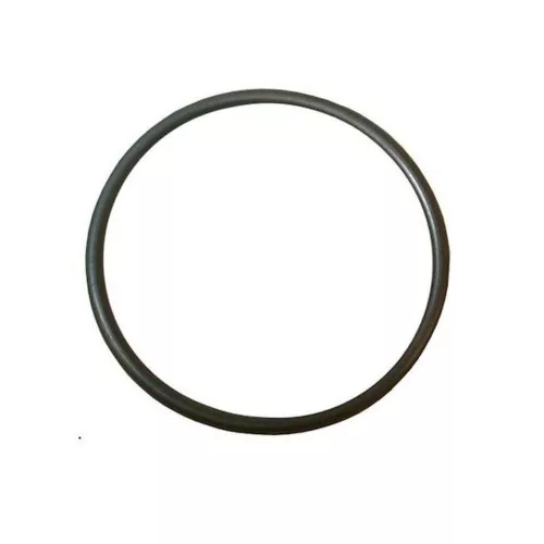 O-ring JPV1300 CT3674 JPV900 OR163 (OR164x2.6)