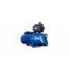 Elpumps automatic garden pump JPV 1500 B Automatic with bronze blade