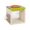 Small Foot - Wooden insect box