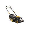 Riwall Pro RPM 4235 - self-propelled multifunctional lawn mower