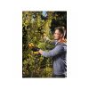 Riwall RAP 3020i SET cordless pruning shears 20 V (without battery and charger)