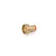 GK tap connector, external thread 3/4', brass