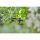Gardena MD Pin, 4.6 mm (3/16')