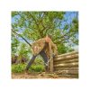 Gardena EasyCut L lopper