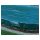 Strong weatherproof oval liner for 5.3*3.2 meter pool in green/black
