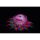 Floating LED light