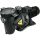 DAB Euroswim 300M 38m3/h H=10m 3.0HP 230V