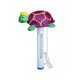 Thermometer turtle