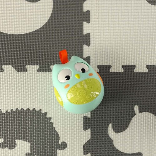 Blue Sensory Owl Swing Ball