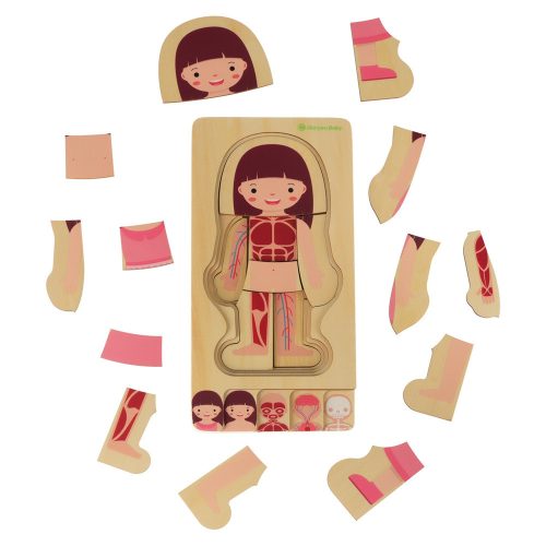 Wooden layered puzzle bodybuilder montessori girl