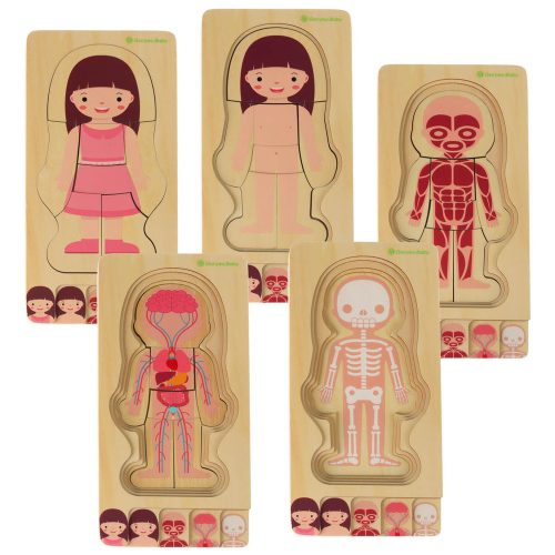 Wooden layered puzzle bodybuilder montessori girl