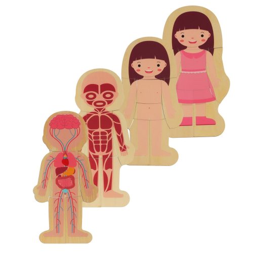 Wooden layered puzzle bodybuilder montessori girl