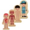 Fából készült réteges puzzle montessori fiú