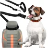 Car seat belt leash for dog and cat